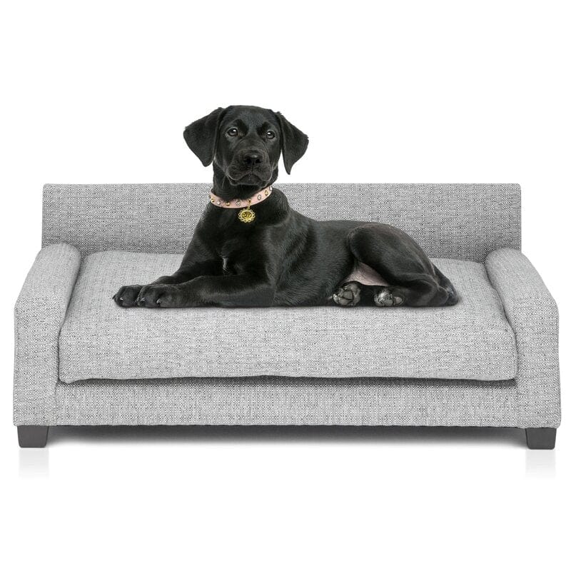 Buddy Orthopedic Dog Sofa