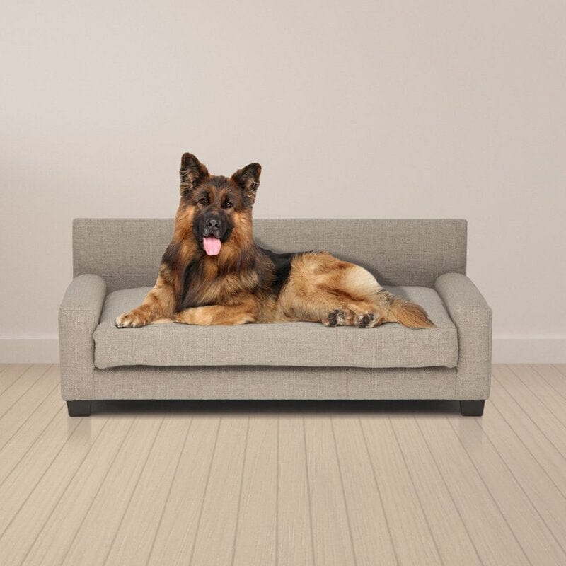 Buddy Orthopedic Dog Sofa